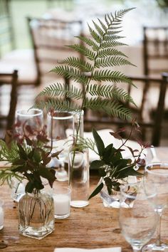 there are many vases with plants in them on the dining room table set for dinner