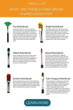 what are these 8 paint brush shapes good for? - infographical poster with text