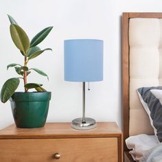 a green potted plant on a nightstand next to a blue lamp