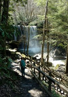 a person walking down a path next to a waterfall