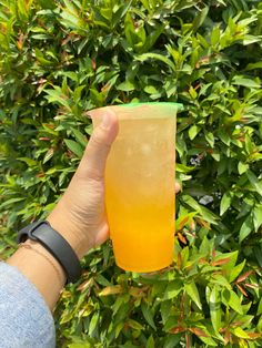 a person holding up a plastic cup in front of some bushes and trees with green leaves