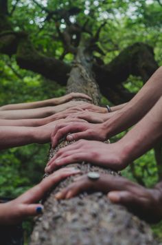 several people holding hands on top of a tree trunk