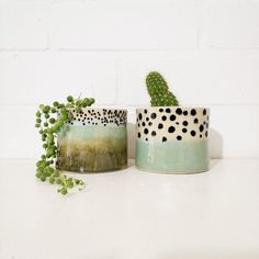 two pots with plants in them sitting on a table next to a brick wall and a cactus