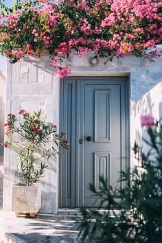 a blue door with pink flowers growing over it's top and below the door is a potted plant