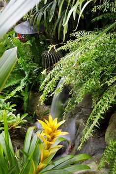 a yellow flower sitting in the middle of a lush green forest filled with lots of plants