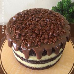 a chocolate cake with white frosting and sprinkles sitting on a plate