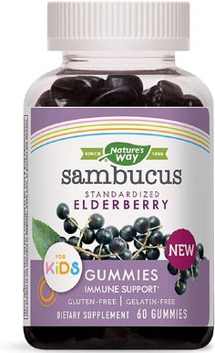 SUPPORT Immune Deficiency, Black Elderberry, Elderberry Gummies, Vitamin C And Zinc, Healthy Products, Herbal Supplements, Vitamins & Supplements, Health Products