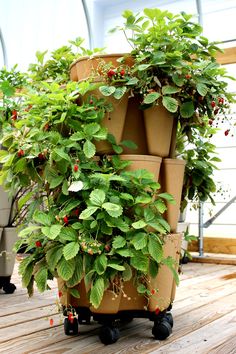 several planters are stacked on top of each other