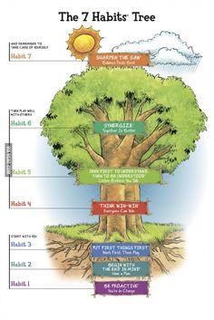 the tree is labeled in several different languages, including words and pictures on its branches