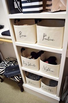 an organized closet with shoes and handbags on shelves that read, bins by style