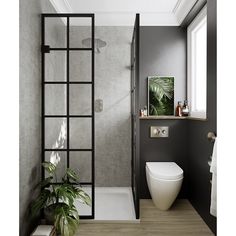 a bathroom with a toilet, shower and plant in the corner on the counter top