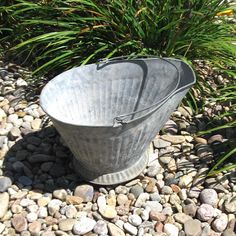 a metal bucket sitting on top of a gravel ground next to plants and rocks in the grass