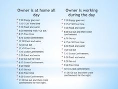 a blue and white poster with the words owner is at home all working during the day