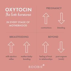 the different types of food that are in each type of body and their meaningss