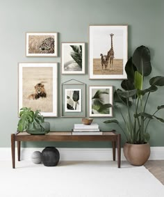 a living room with green walls and pictures on the wall, including giraffes