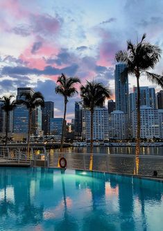 palm trees line the edge of a swimming pool in front of a cityscape