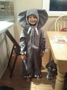 a little boy in an elephant costume standing next to a table with a dog on it