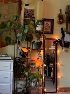 a living room filled with lots of plants and lights