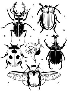 four different types of bugs in black and white