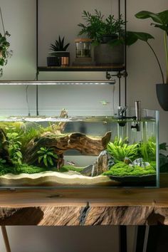 an aquarium filled with plants and rocks on top of a wooden table next to a shelf