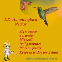 a hummingbird flying next to a pink flower on a yellow background with the words diy hummingbird nectar