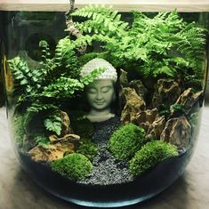 there is a small buddha statue in the middle of some rocks and plants inside of a fish bowl