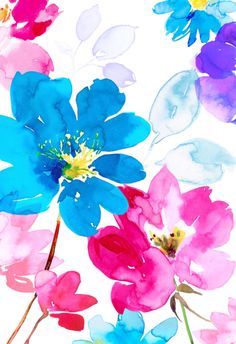 watercolor flowers on white background with blue and pink petals