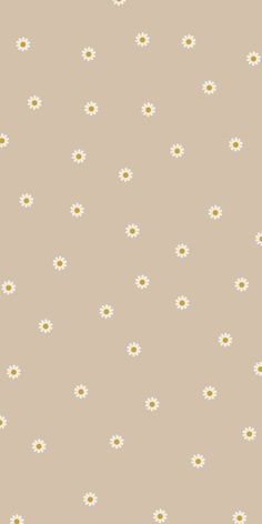 a beige background with white daisies and dots on the bottom half of the image