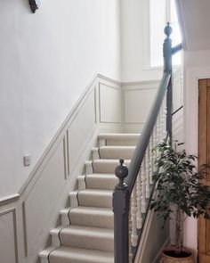 the stairs are white and there is a potted plant on the floor next to them