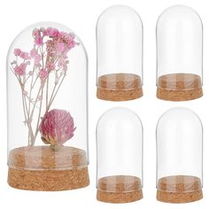 four glass jars with flowers in them and cork lids on the top one is filled with sand