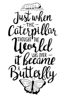 a quote that says, just when the caterpillar thought the world was over it came