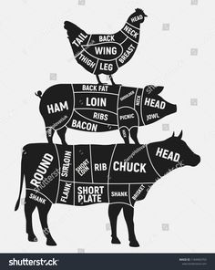 the cuts of meat in different shapes and sizes on a white background with black silhouettes