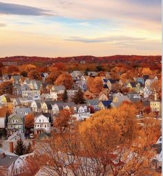 a city with lots of houses and trees in the fall