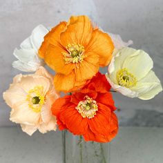 four different colored flowers in a glass vase