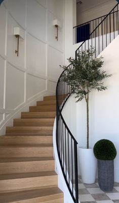 there is a potted plant next to the stairs in this house with white walls