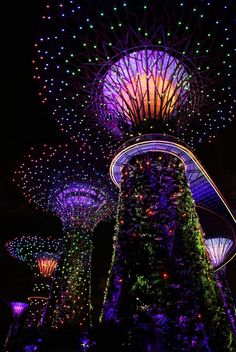 the gardens at night lit up with colorful lights