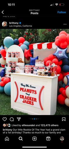 an image of a baseball themed birthday party