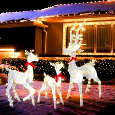 lighted reindeers in front of a house with christmas lights