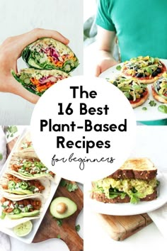 the 16 best plant - based recipes for beginners