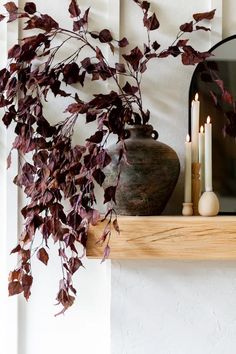 a potted plant sitting on top of a wooden shelf next to candles and a mirror