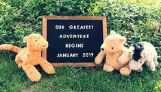 three stuffed animals sitting next to a sign