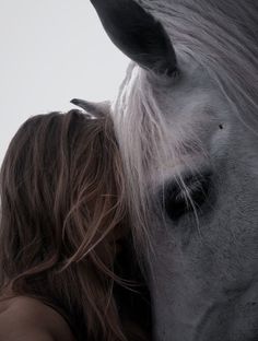 a close up of a person kissing a horse