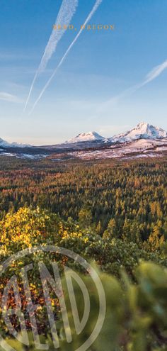 an aerial view of the mountains and trees