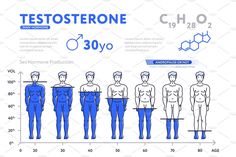 Biology Of Love, Watercolor Styles, Anatomy Education, Infographic Diagram, Testosterone Replacement Therapy, Testosterone Therapy, Effective Diet, Tan Removal, Human Sexuality