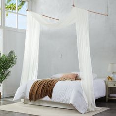 a bed with white sheets and curtains in a room next to a window, potted palm tree