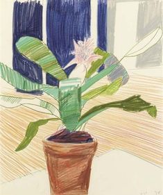 a drawing of a potted plant in front of a window