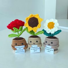 three small crocheted pots with flowers in them