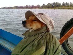 a dog wearing a hat sitting on top of a boat in the water with it's eyes closed