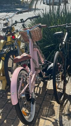 two pink bikes parked next to each other on a sidewalk near some water and palm trees