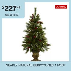 a small christmas tree with red berries on it is for $ 22 99 reg $ 42 00